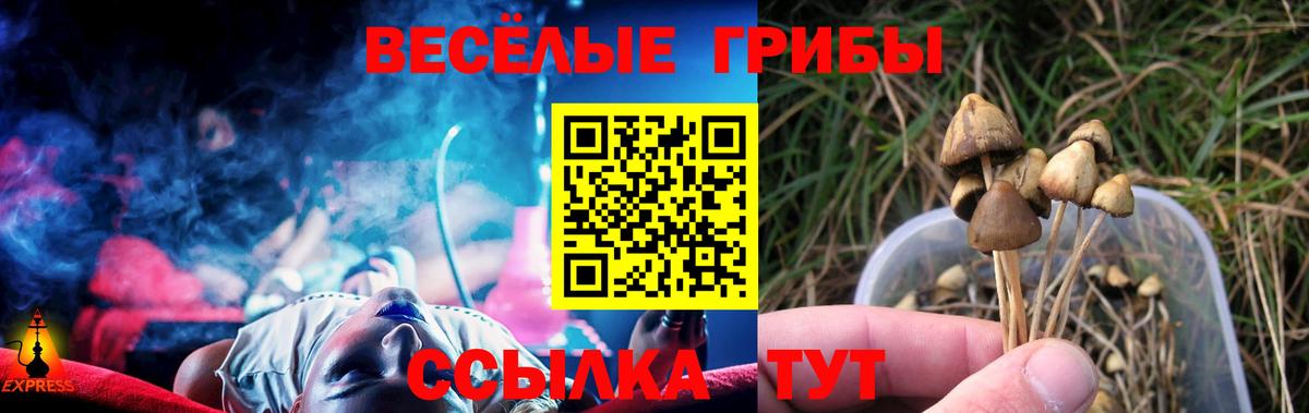 Галлюциногенные грибы Cubensis  Галлюциногенные грибы мухоморы  Куйбышев  Вход с VPN 